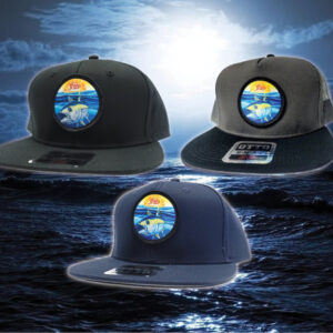 Color Logo Flat Bill
